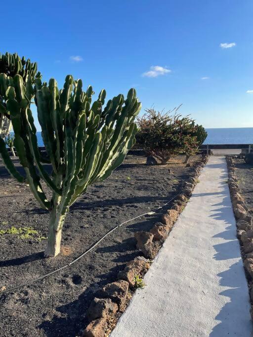 Precioso Rincon Entre El Mar Y Los Volcanes コスタ・テギセ エクステリア 写真